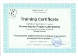 Сертификат Intake-Consult